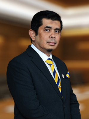 Prof. Ir. Dr. Azman Bin Senin
